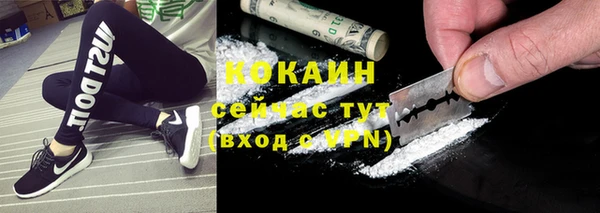 спайс Касимов