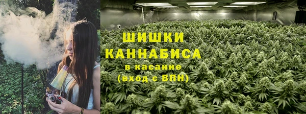 трава Киренск
