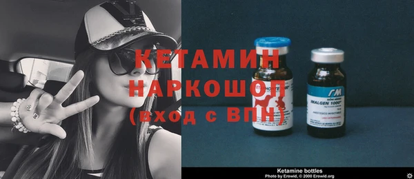 сатива Козловка
