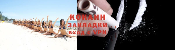 шишки Карпинск