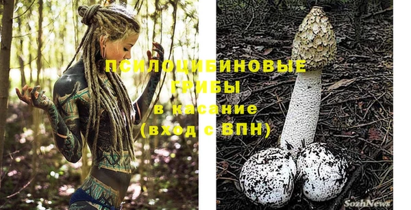 трава Киренск