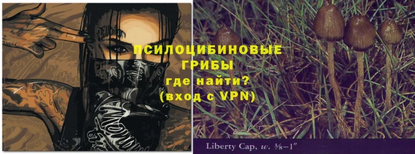 трава Киренск