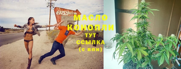 сатива Козловка