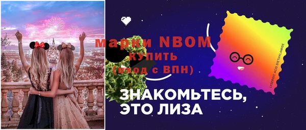 сатива Козловка